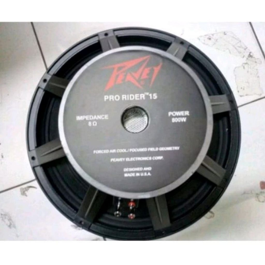 Speaker 15 inch Peavey Prorider 800 Watt Babet
