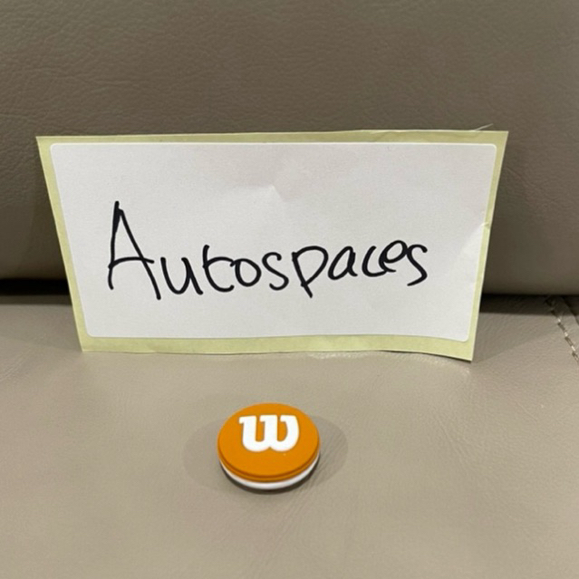 Wilson RG damper raket tenis roland garros damper tenis