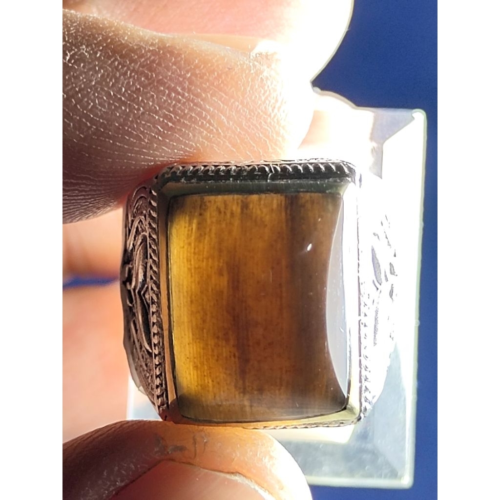 Natural Kelor Petrified Wood Crystal / Batu Fosil Kayu Kelor Kristal, 1