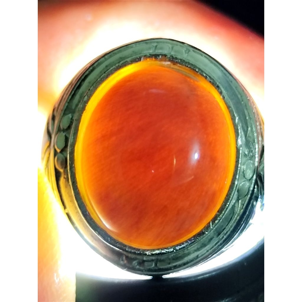 Natural Kelor Petrified Wood Crystal / Batu Fosil Kayu Kelor Kristal, 2