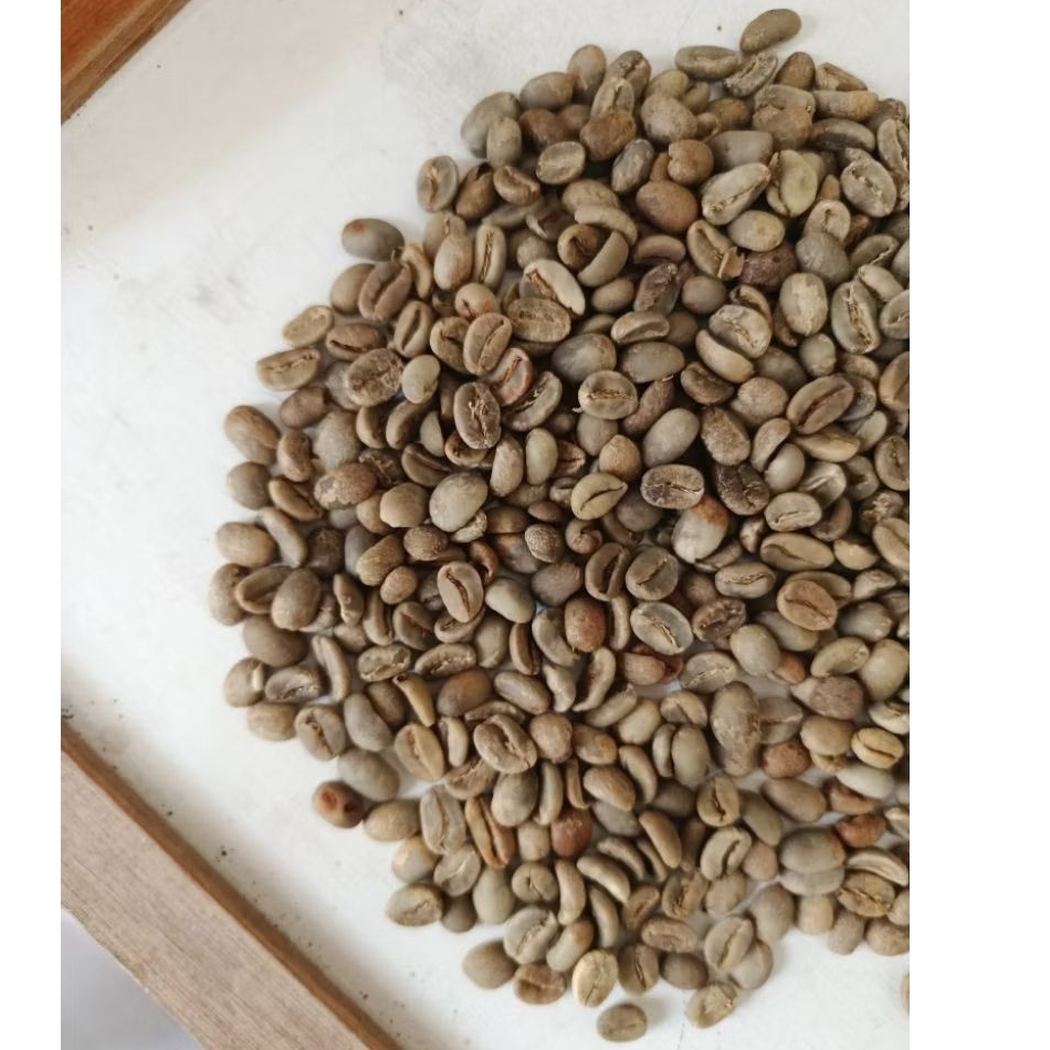 Green bean Arabica Flores Manggarai Classical Washed