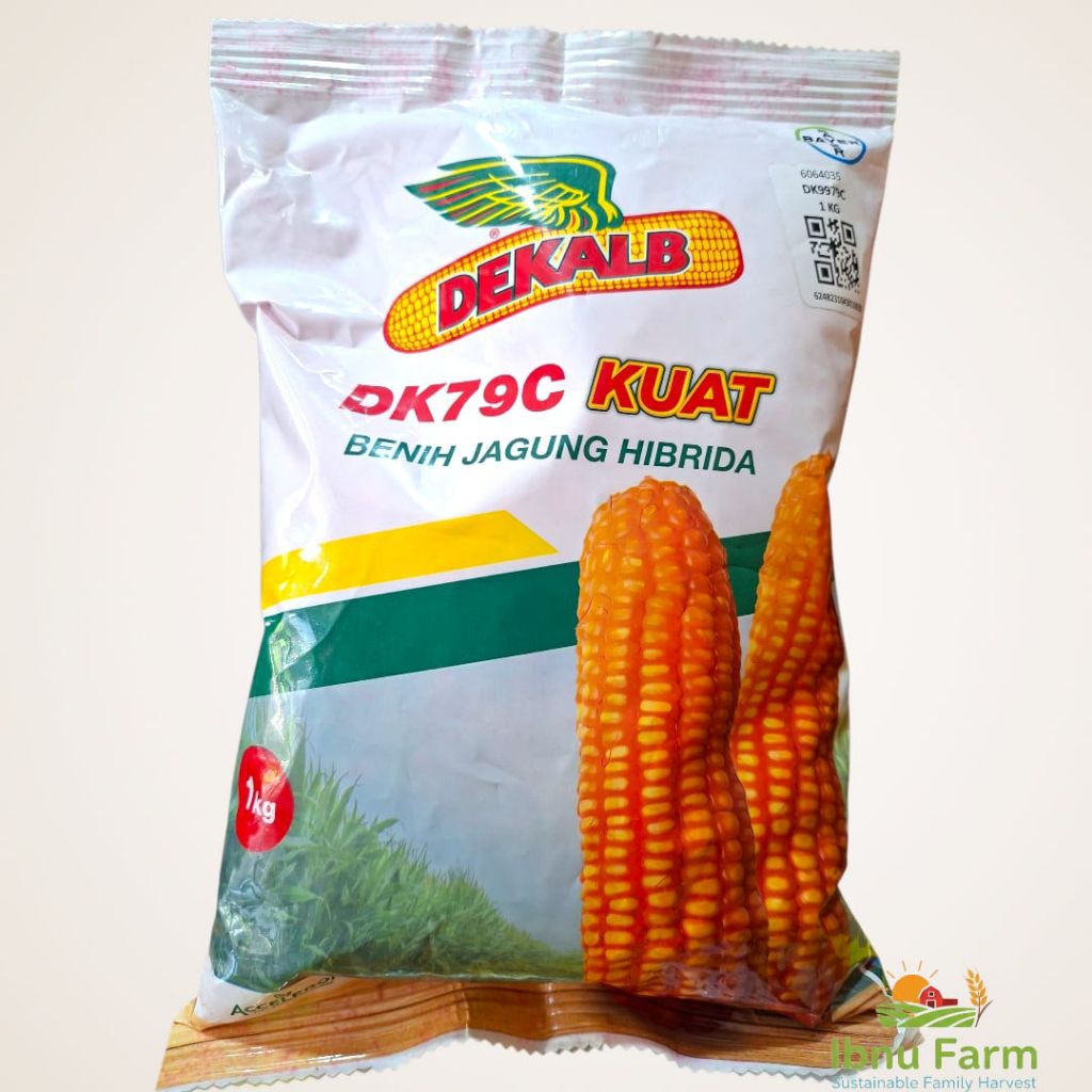Benih Bibit Jagung Bayer DK79C Kuat 1 Kg