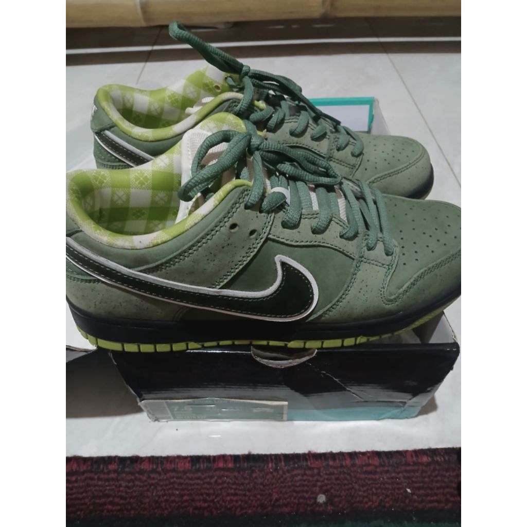 sepatu nike sb dunk low x concepts green lobster size 7.5