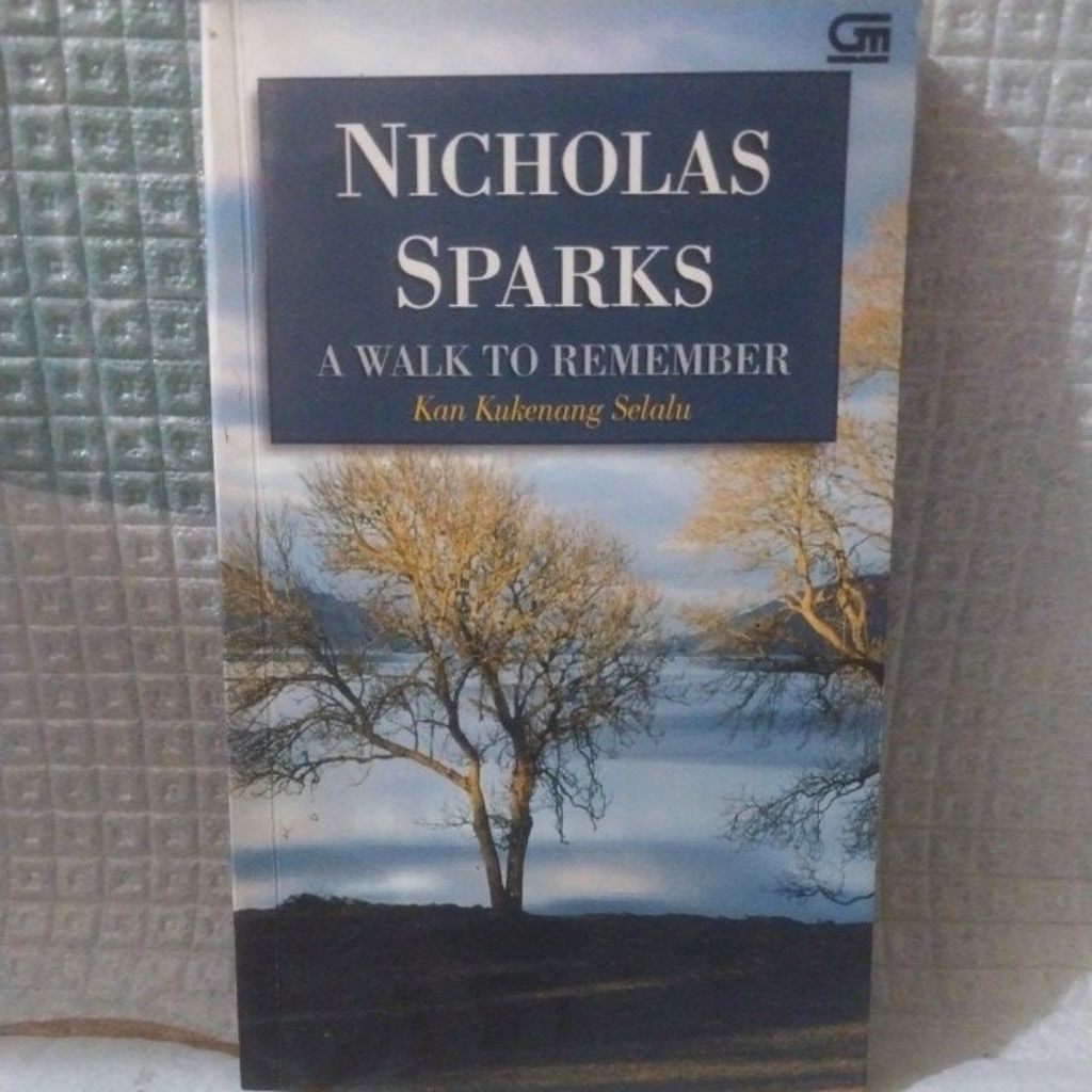 Novel A Walk to Remember karya Nicholas Sparks