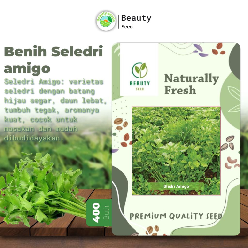 400 Benih Seledri Amigo Hidroponik Unggul
