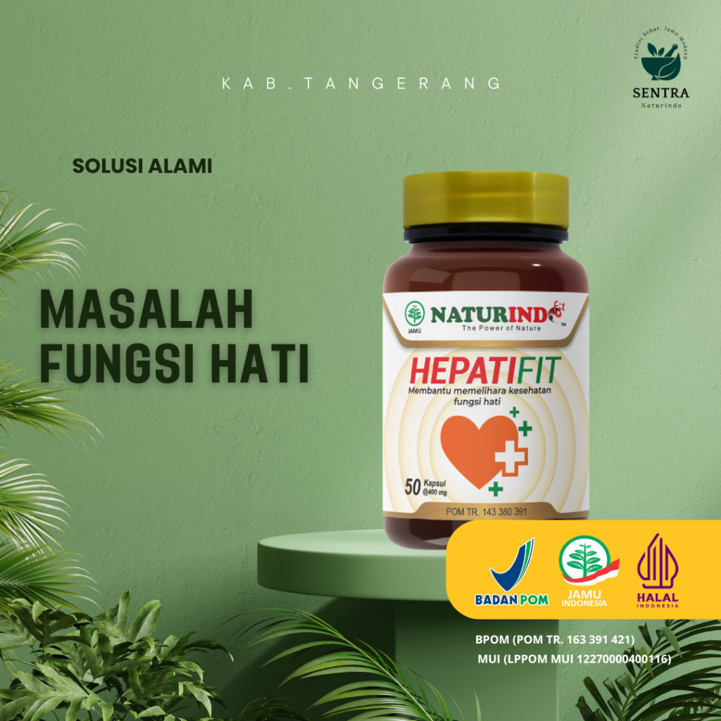 HEPATIFIT NATURINDO (SPESIALIS FUNGSI HATI / LIVER)