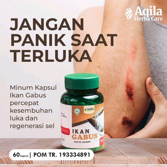 KAPSUL EKSTRAK IKAN GABUS AQILA 60C/KAPSUL IKAN KUTHUK/IKAN SIDAT/IKAN CANNA TINGGI ALBUIN/MEMPERCEP
