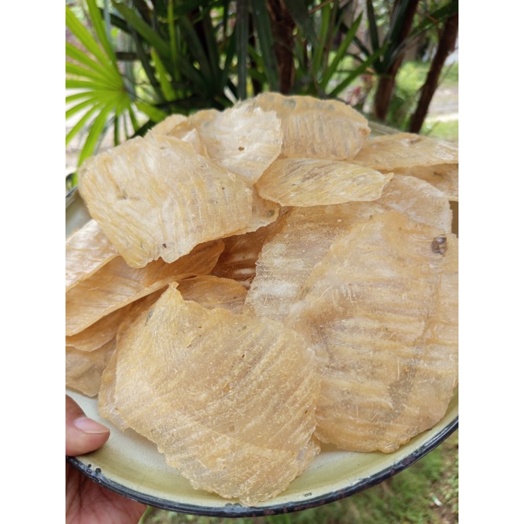 kecimpring singkong,opak singkong tradisional mentah 1kg renyah dan nikmat