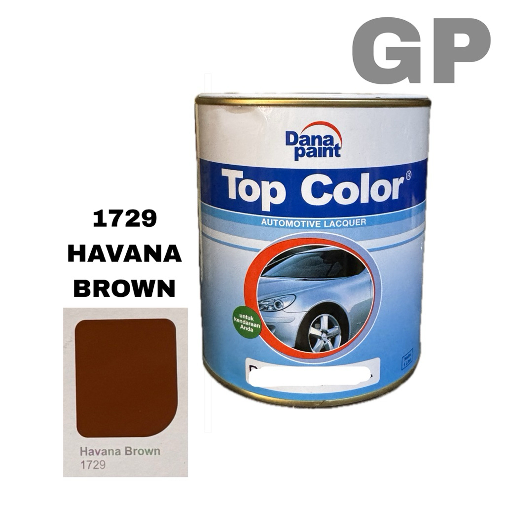 Top Color 1729 HAVANA BROWN || Danapaint || Cat Mobil