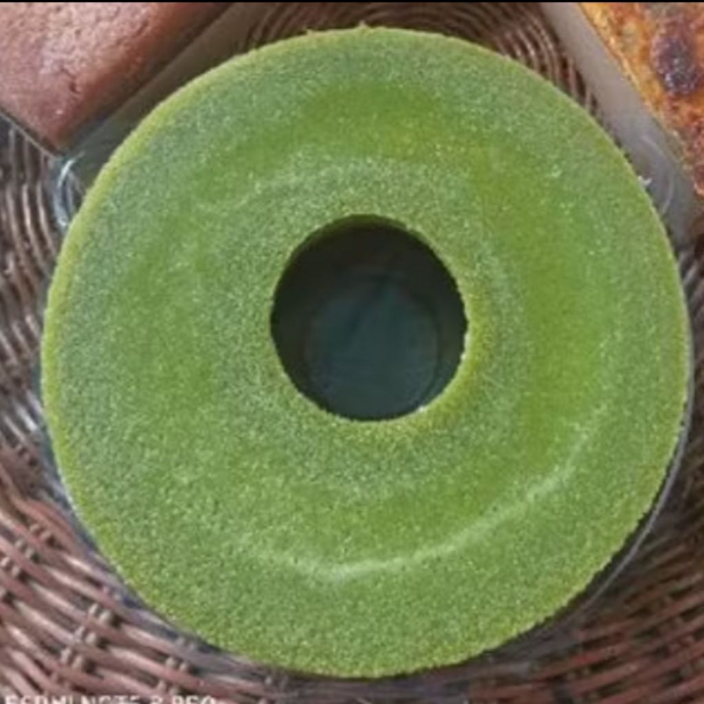 Kue Bolu / Bolu kukus Kojo Pandan dan Gula merah / Gula aren Khas Palembang Terlaris super gurih lem