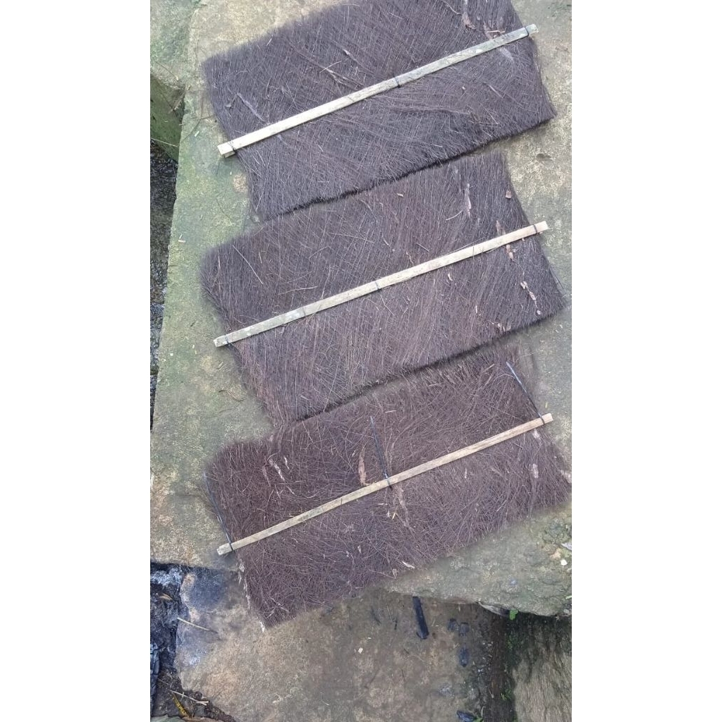 ijuk kakaban ikan lele sudah jadi panjang 50cm lebar 30cm