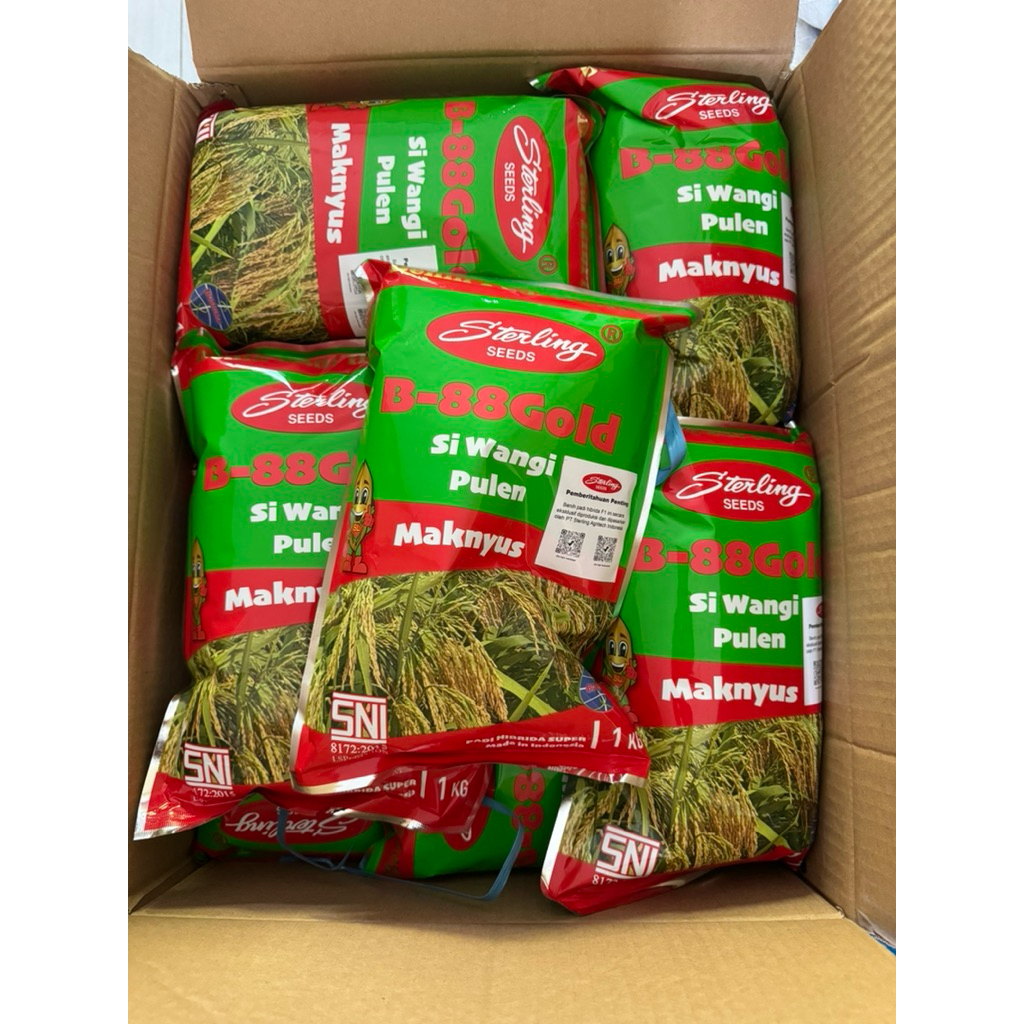Benih padi Hibrida B-88Gold wangi pulen dari sterling