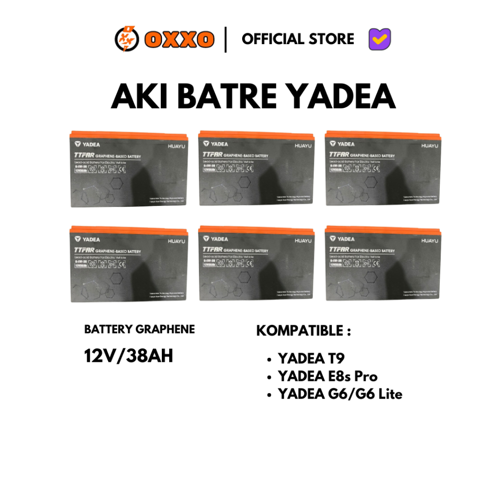 BATRE AKI MOTOR LISTRIK YADEA T9 E8S G6 RS20 ORIGINAL
