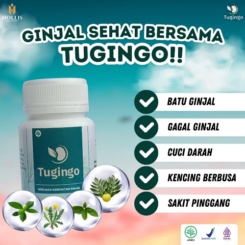 Obat Herbal Tugingo 30 Kapsul
