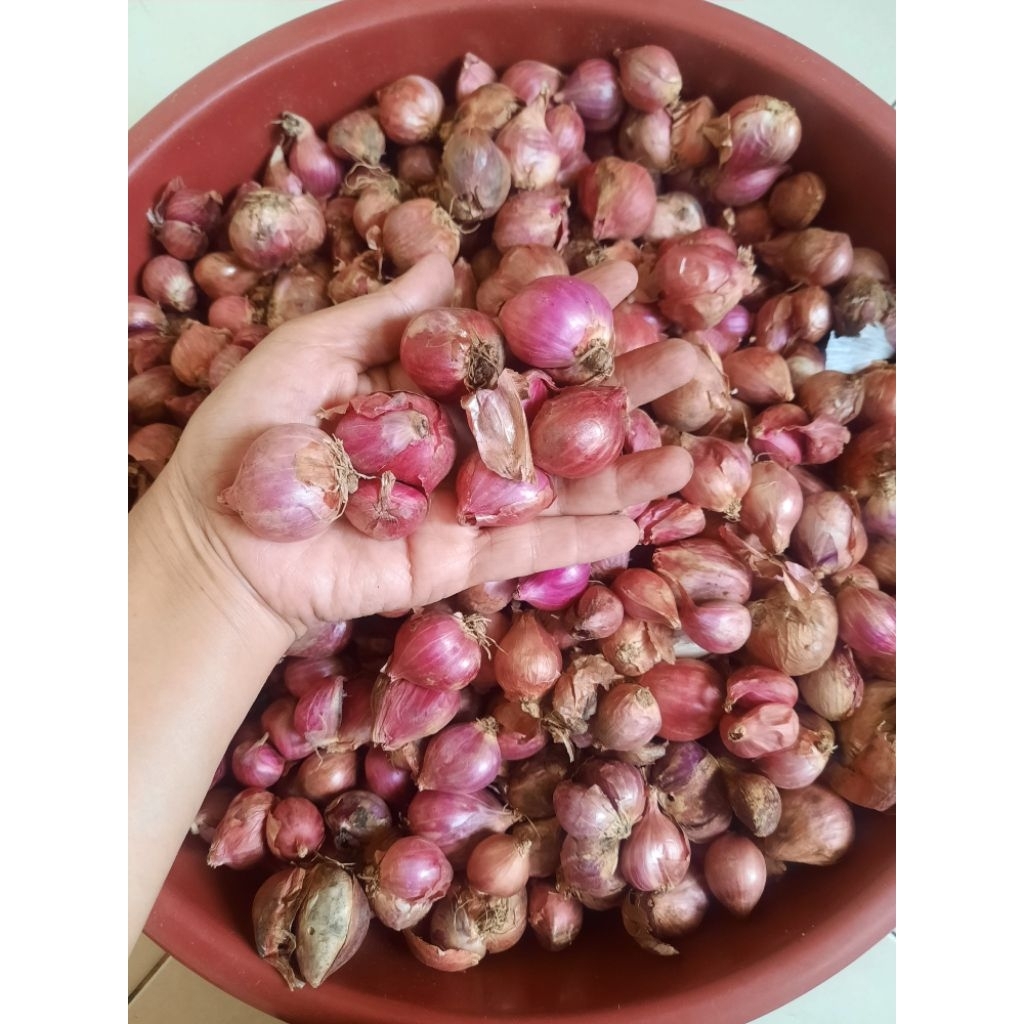 bawang merah lokal 1 kg