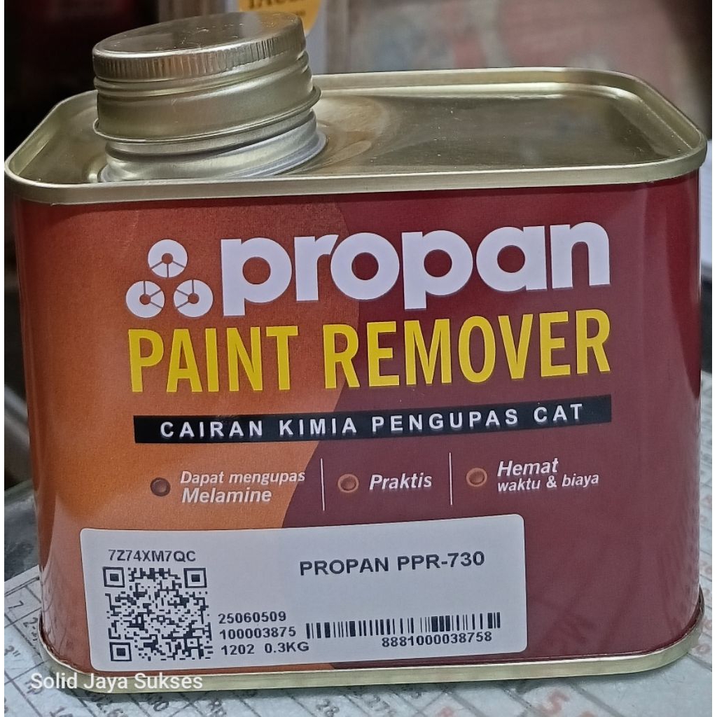 300 gr Propan Paint Remover Penghapus Cat