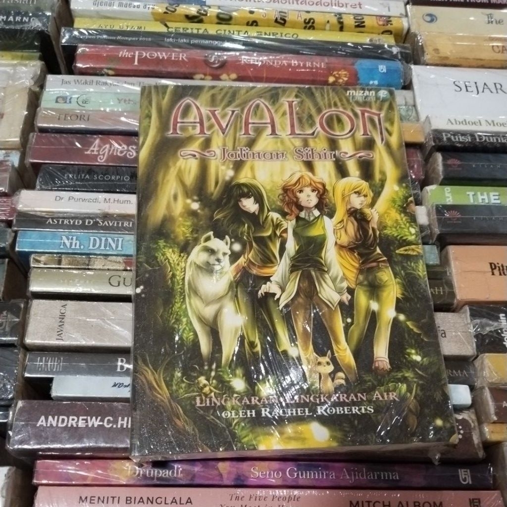 BUKU ORIGINAL AVALON JALINAN SIHIR