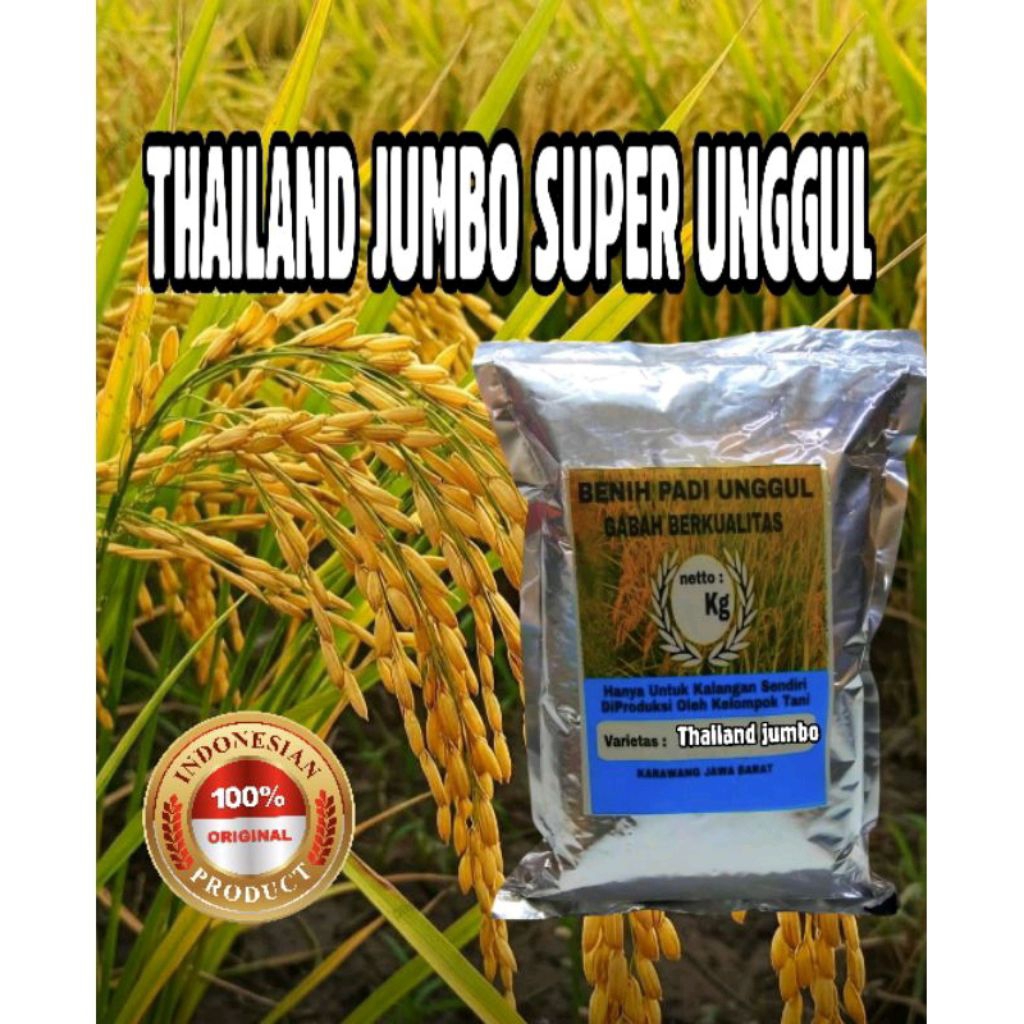 PADI UNGGUL THAILAND JUMBO KEMASAN 1KG