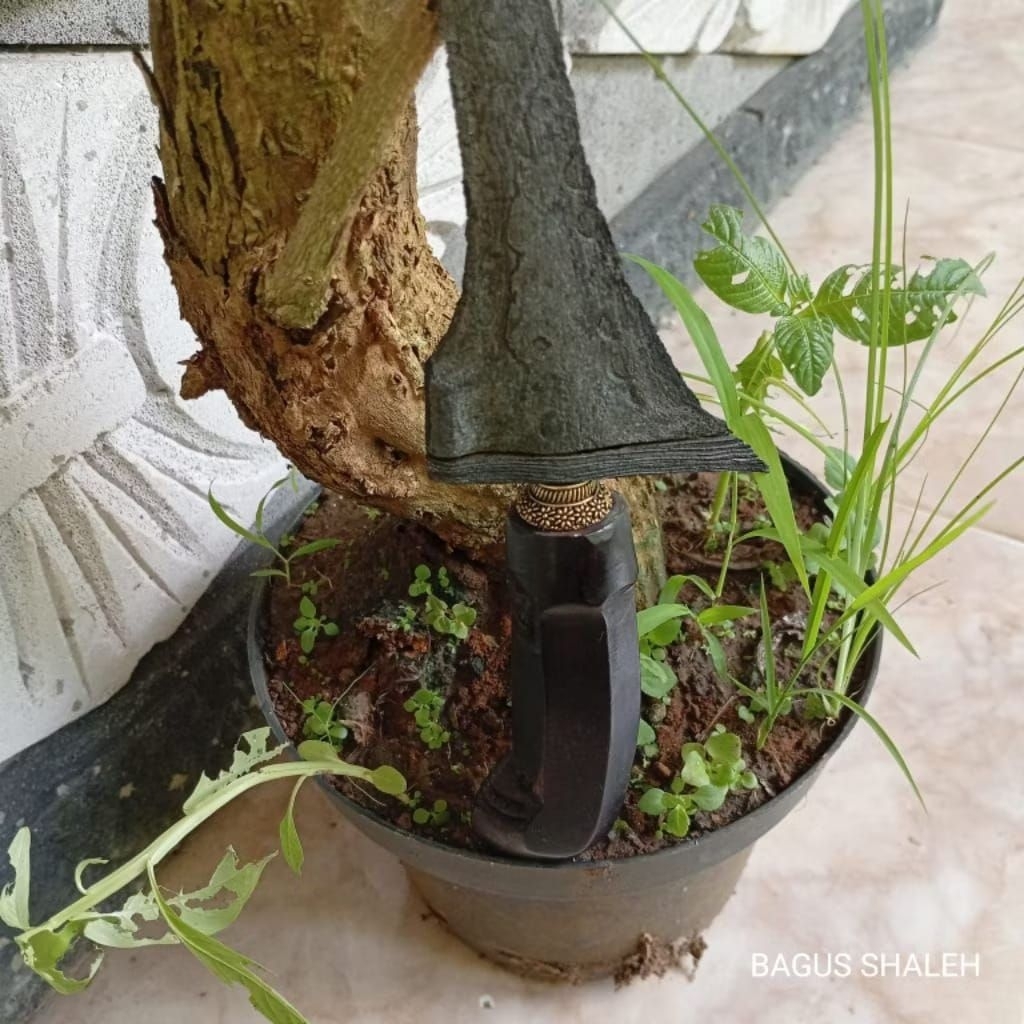 KERIS TILAM SARI SINGOSARI