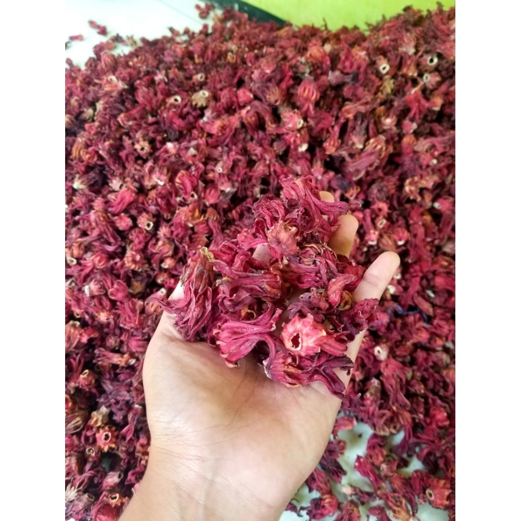 Grosir Lebih Murah Teh Bunga Rosella Merah Kering Kualitas Premium