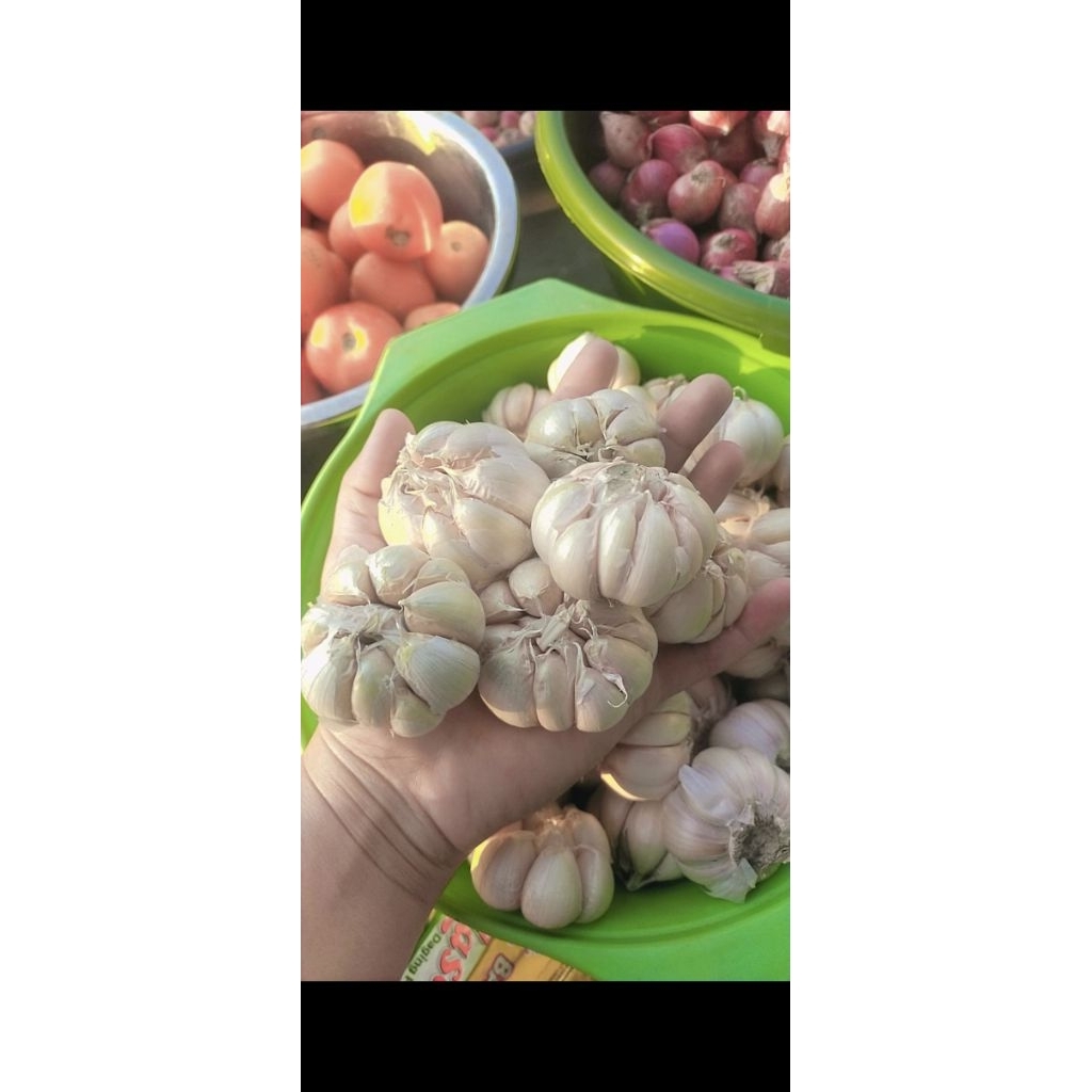 Bawang Putih 1kg  ][ Bawang Putih