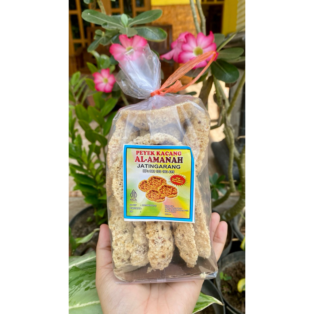 Peyek Kacang Purworejo