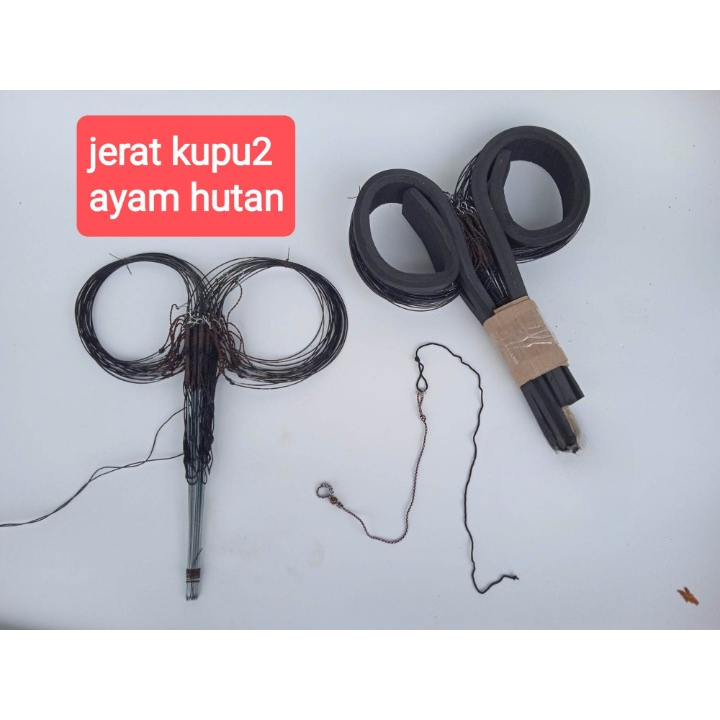 JERAT RACIK AYAM HUTAN KUPU KUPU 20 Tiang