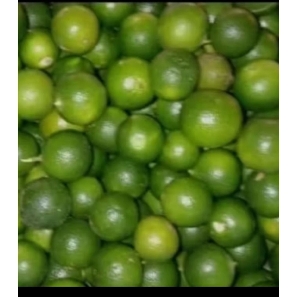jeruk sonkit