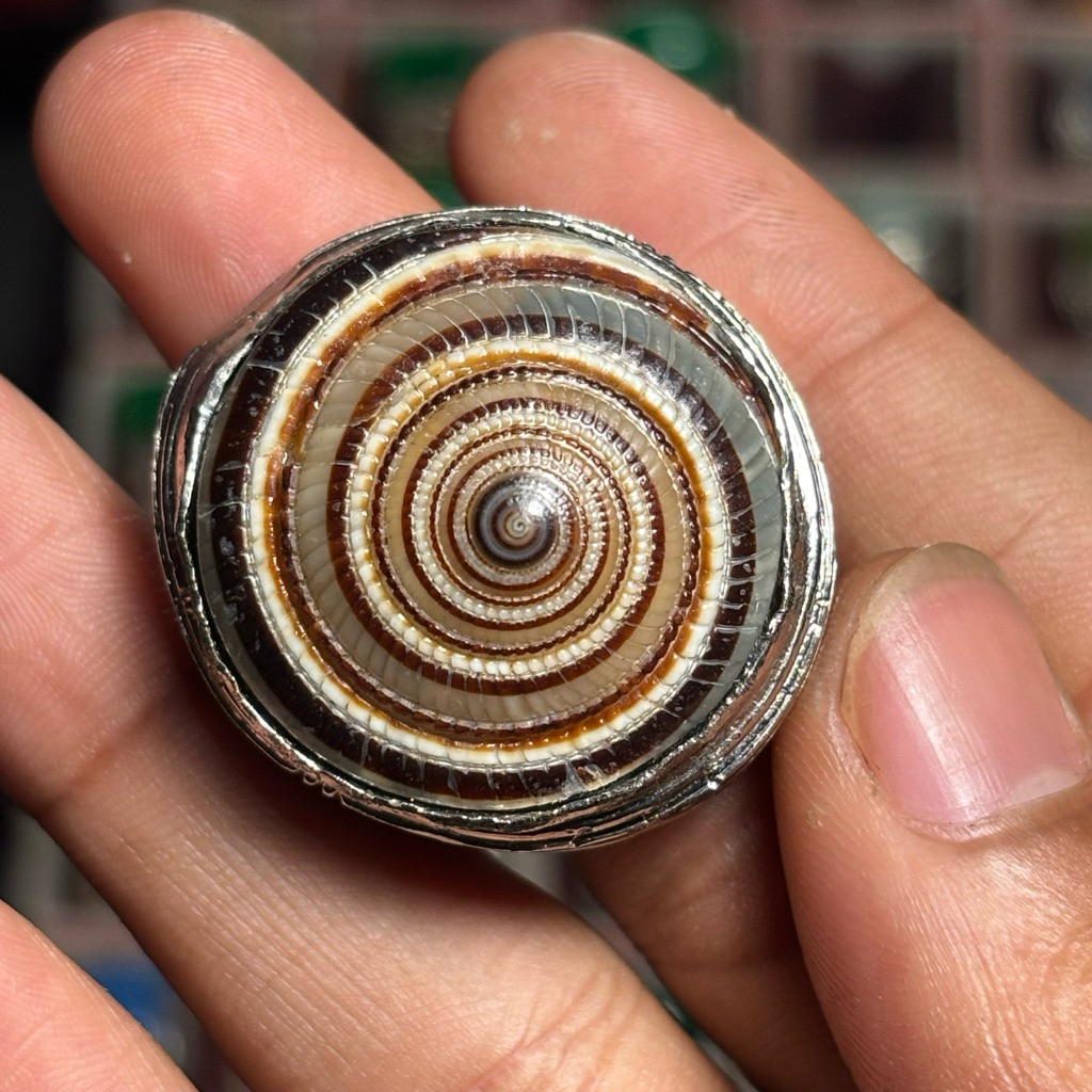 Cincin Batu Akik Natural (Asli) mustika kool huntet Hu (COD) Dim Kantoran Ring Alpaka Super Top HQ O