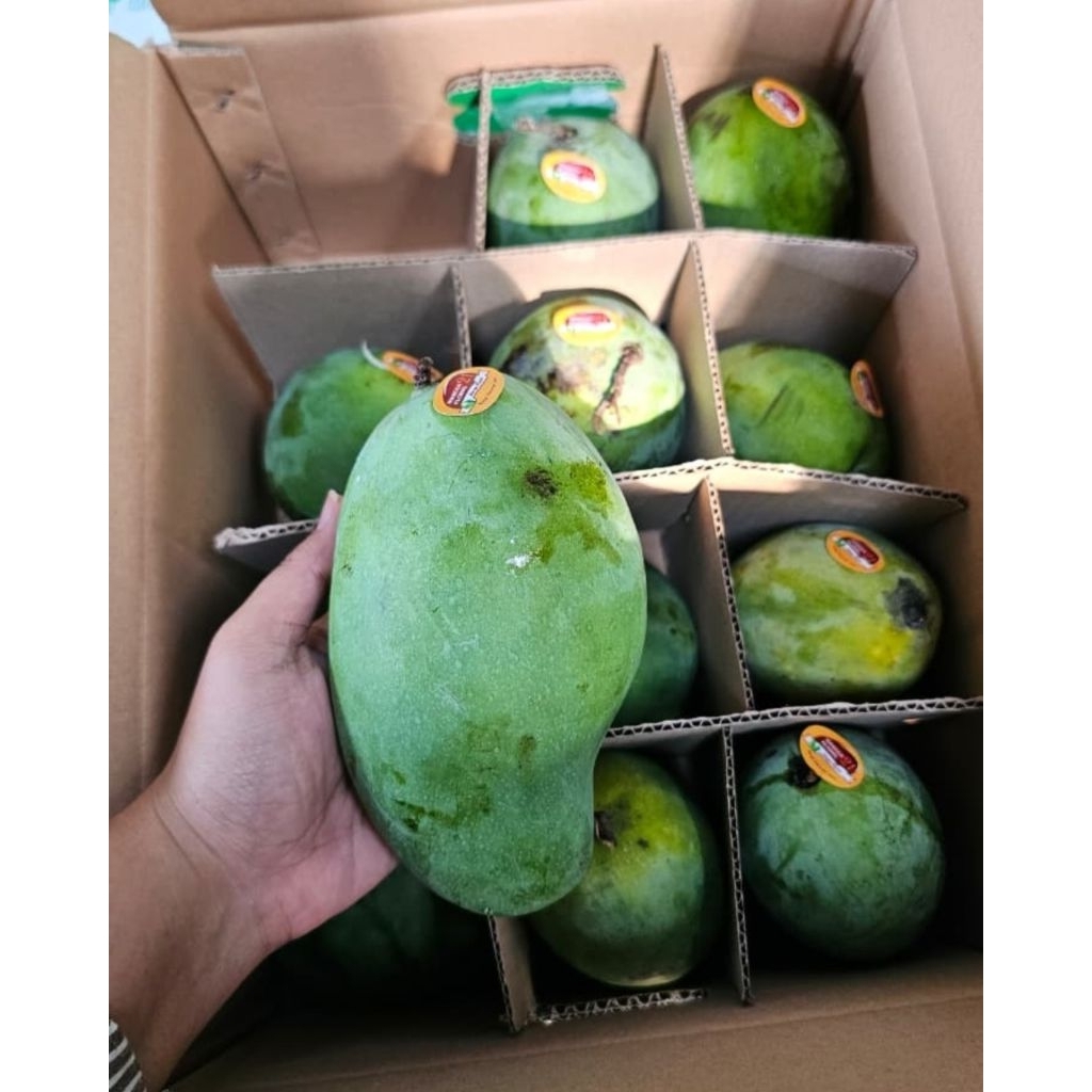 mangga alpukat 5kg murah meriah dus
