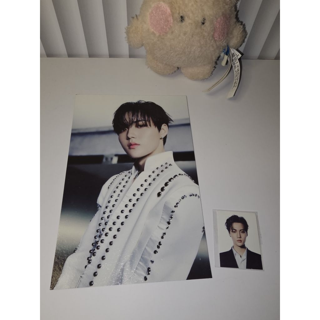 (Ready) Doyoung Treasure Reboot Official