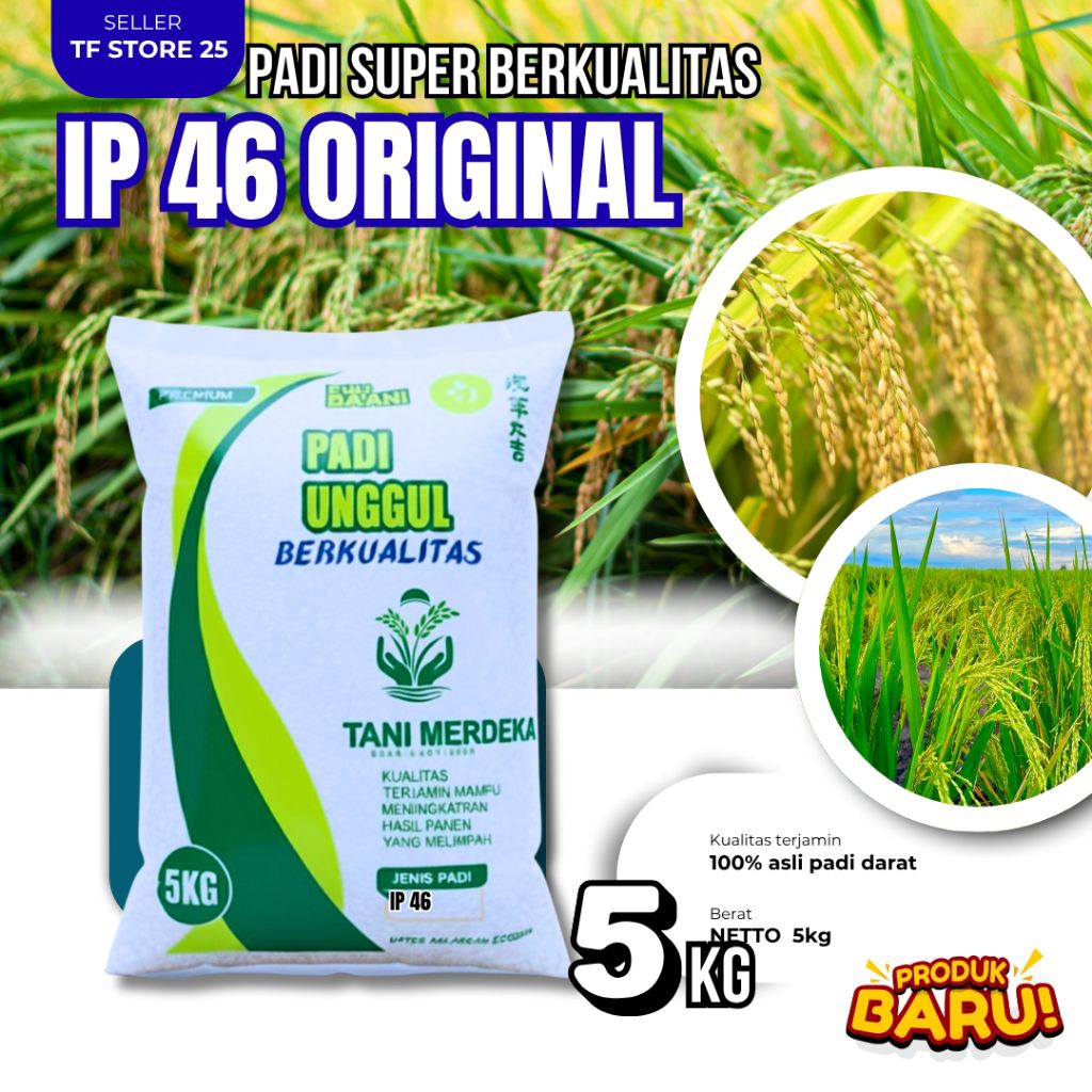 benih padi IP 46 benih padi unggul 5kg