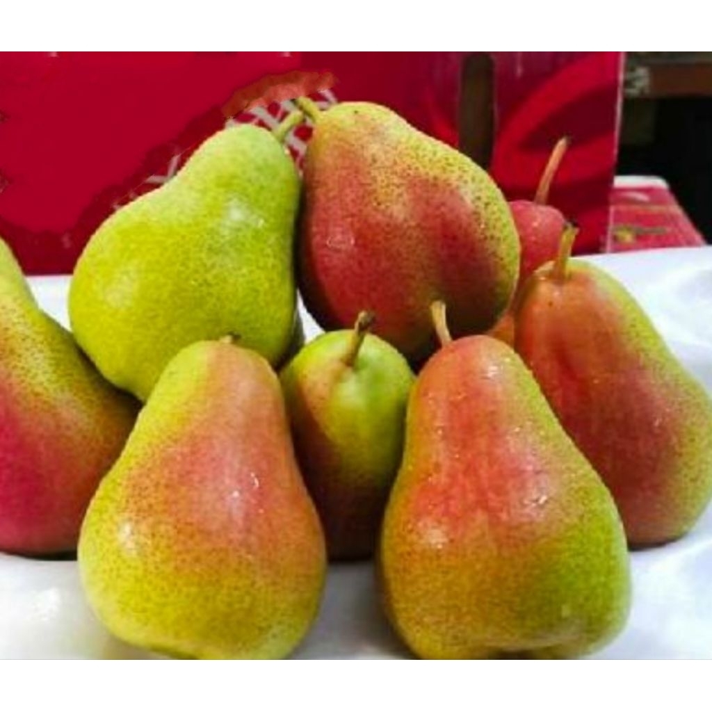 Buah Pear Forelle - Pear Forella - Andira Fresh