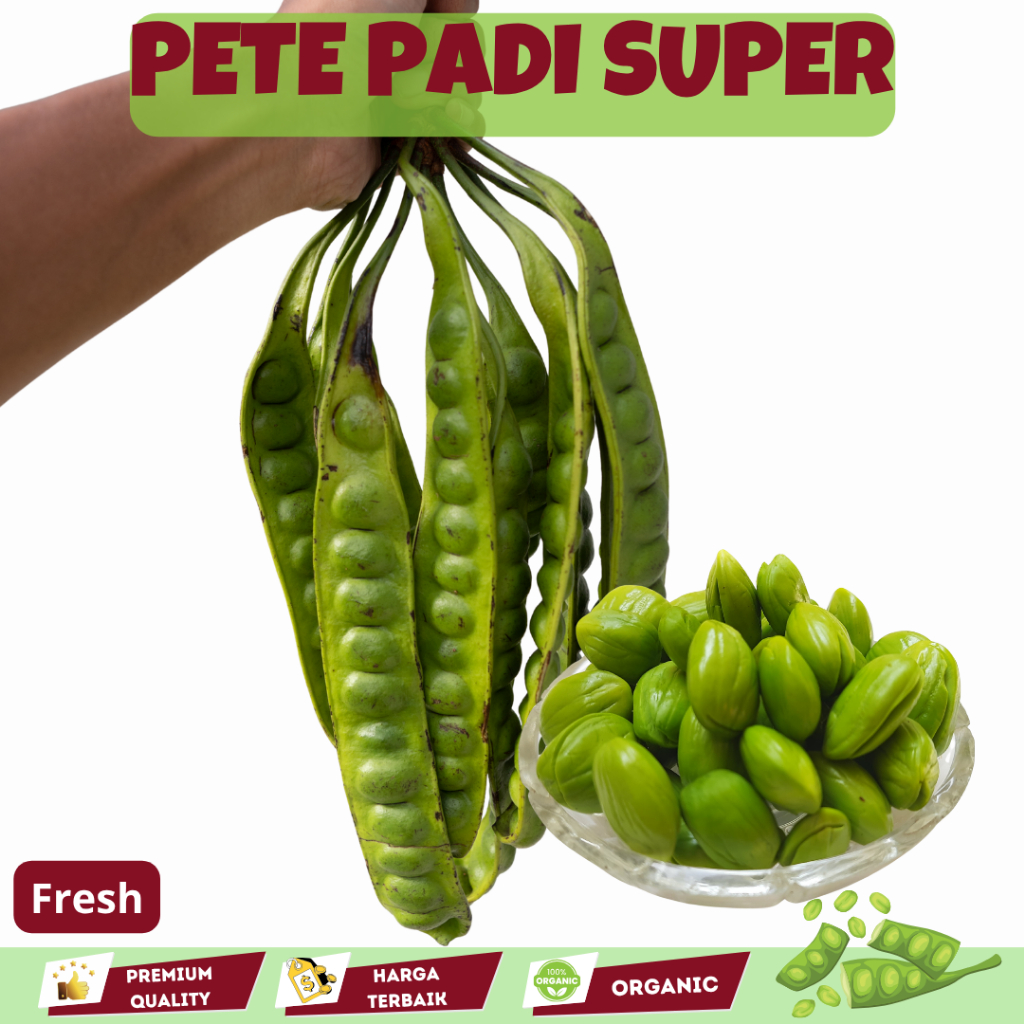 Petai Pete TUA Petai lalapan Super grade A Pete Utuh Segar Termurah per 1 Papan