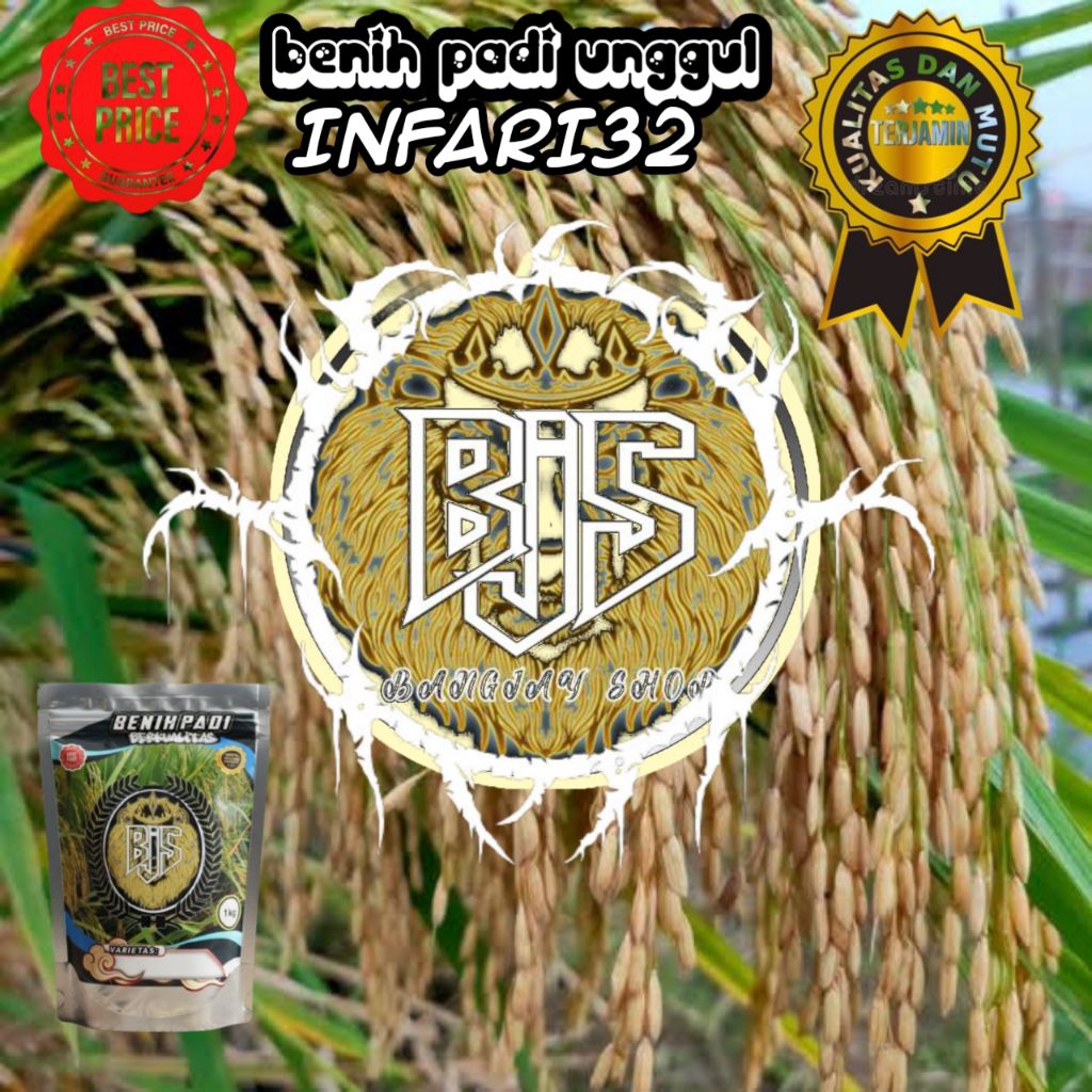BENIH PADI INPARI 32 KEMASAN 1KG