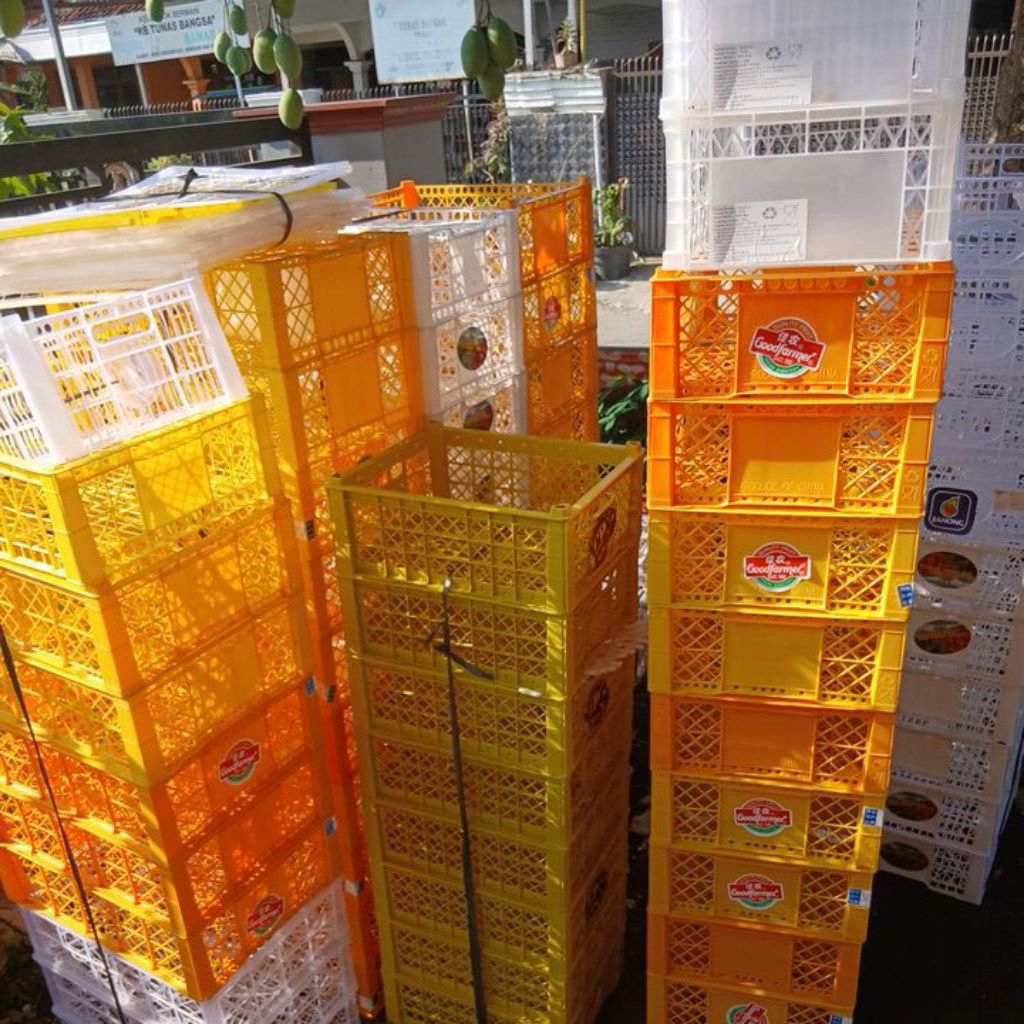 Keranjang jeruk // Keranjang bekas buah // TERMURAH keranjang bekas buah