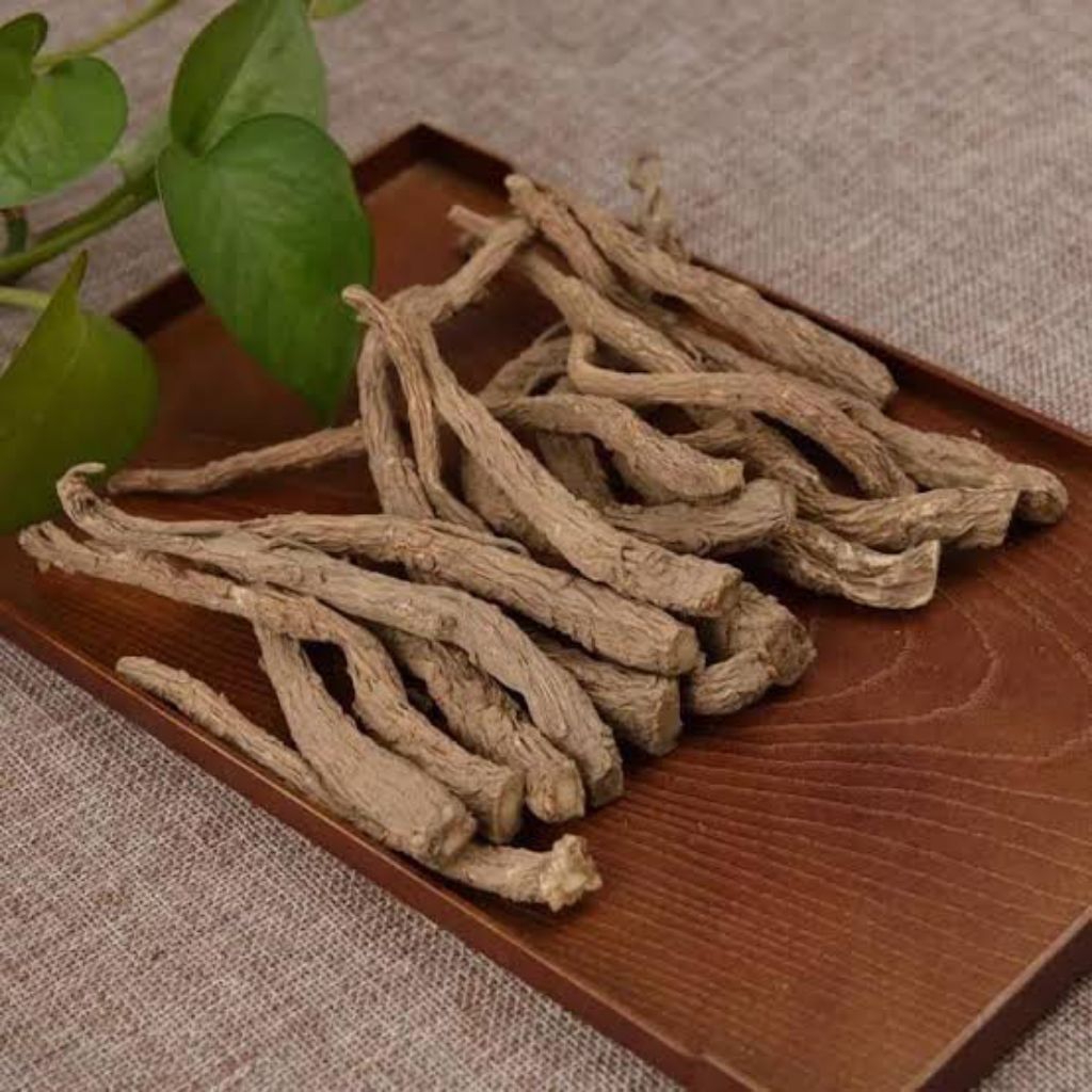 Dang gui wei 100gram dang gui yi / akar angelica / angelicae sinensis extremitas radix