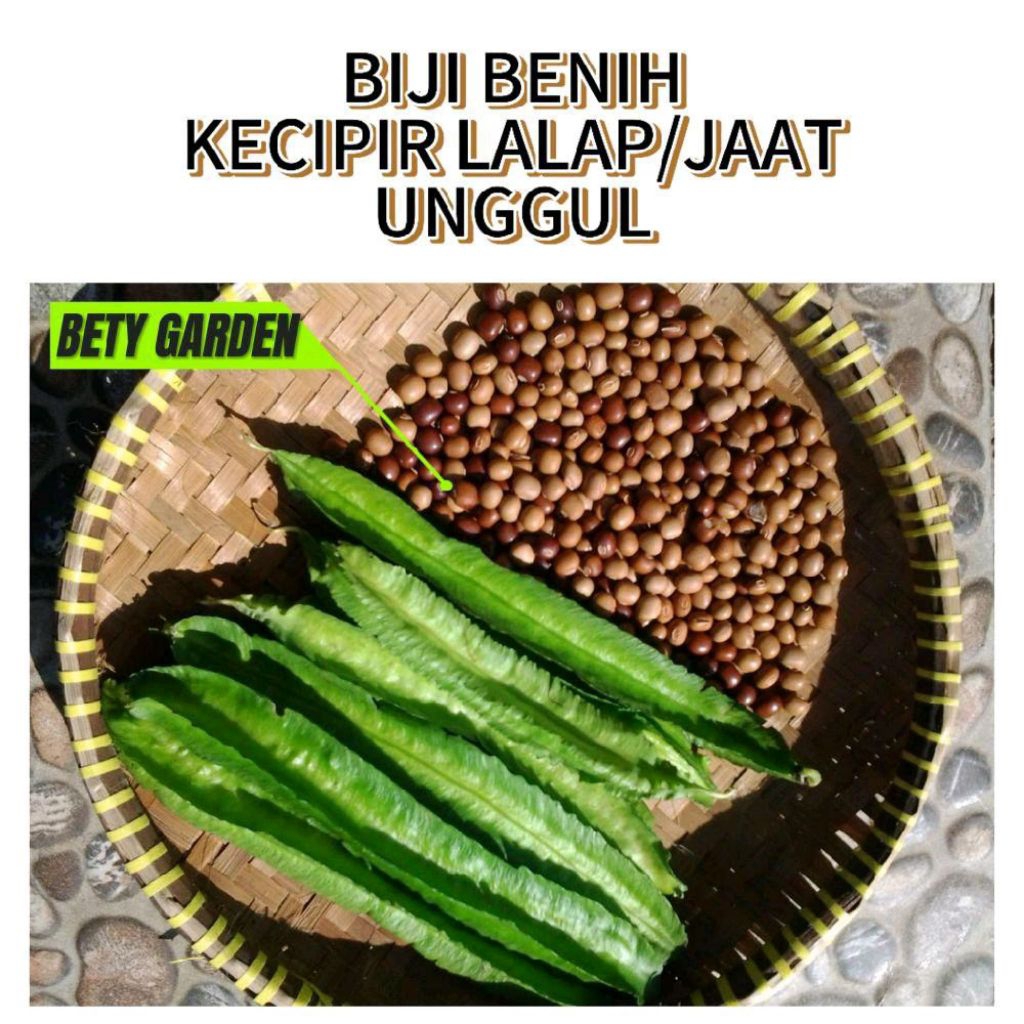 30 gram benih cipir / kecipir lalap/ jaat