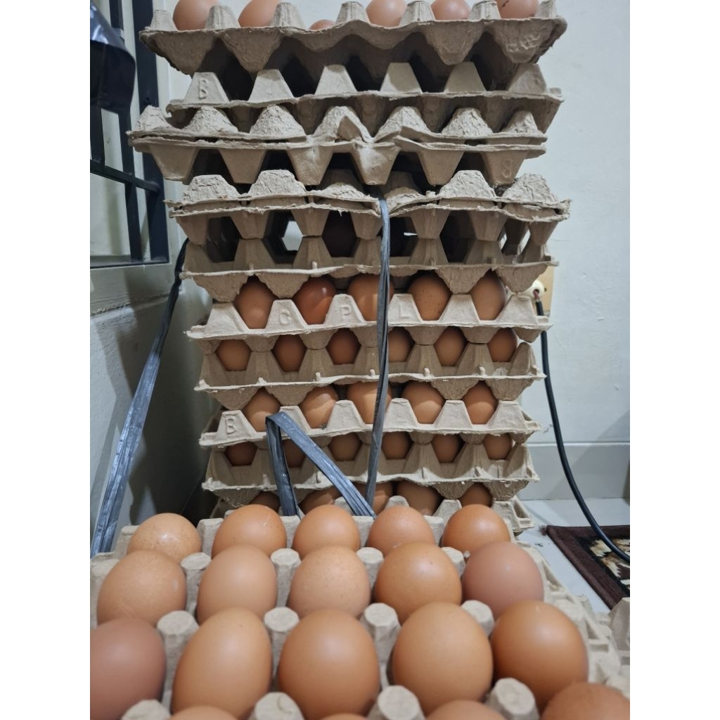 Telor Omega 3 Berat 1 KG
