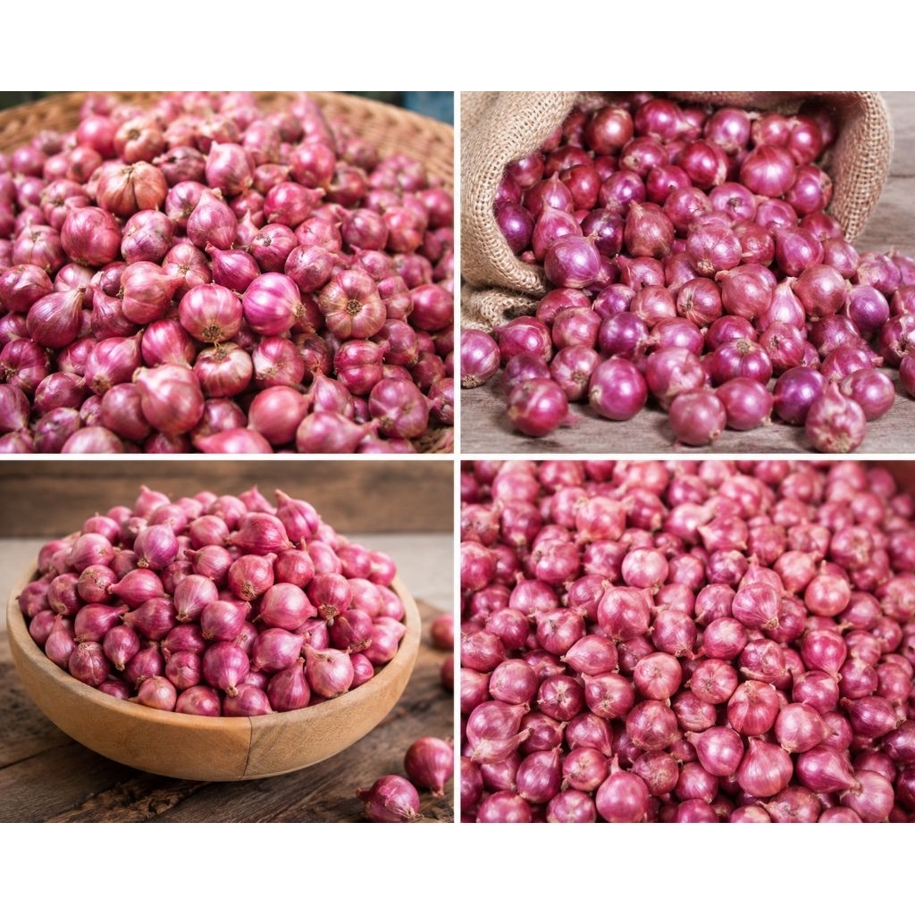 BAWANG MERAH KERING BERKUALITAS JENIS BALI KARET BAGUS UNTUK BUMBU MASAK ANDA 1KG