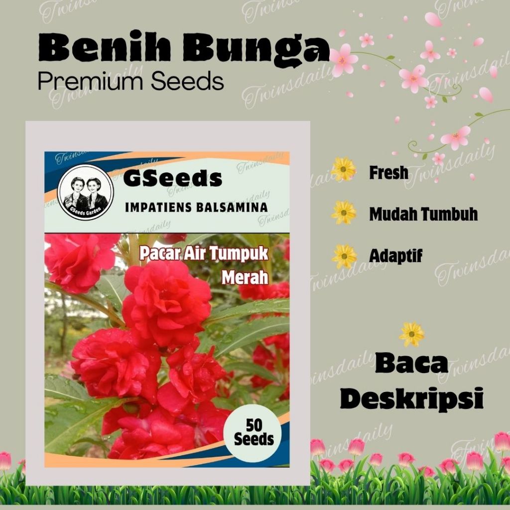 Bunga Pacar Air Tumpuk  Merah
