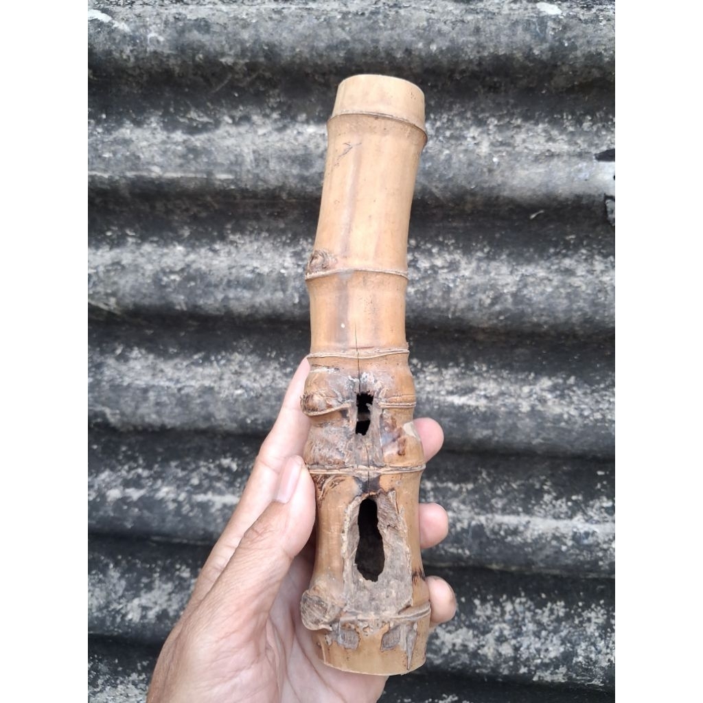 BAMBU UNIK COMBONG RUAS PENDEK TOLAK RUAS (20 CM) ORI