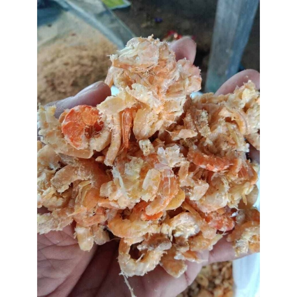 udang ebi asli tarakan kalimantan 1kg