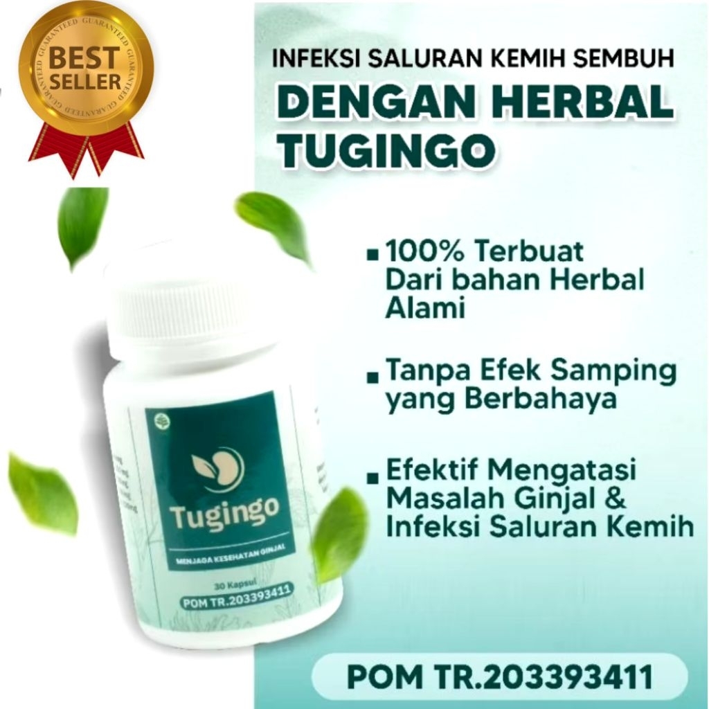 Tugingo Herbal Batu Ginjal | Kapsul Tugingo 100% Bpom