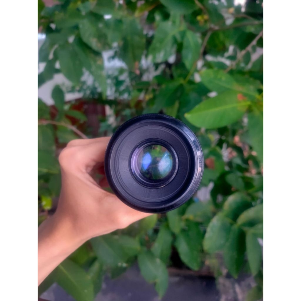 lensa fix 50mm for canon