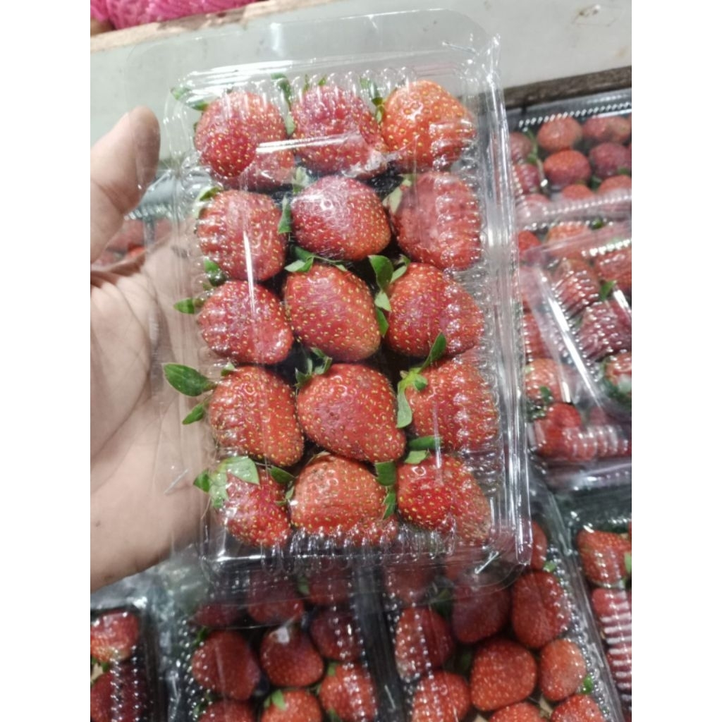 buah stroberi segar 1pak