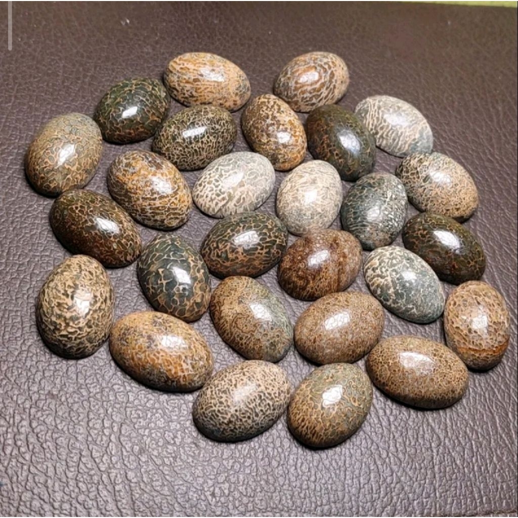 BATU NATURAL WISA SERAP RACUN