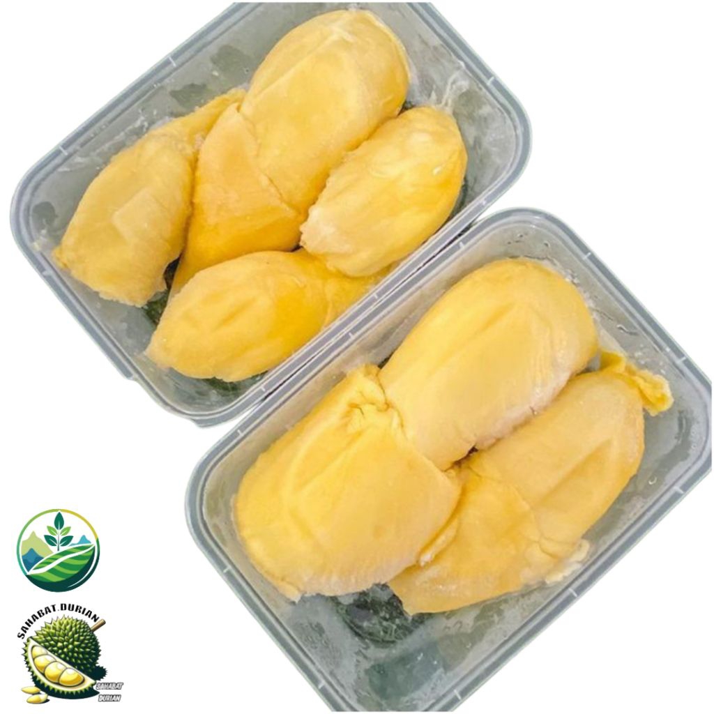 Durian montong | Durian montong kupas 500 gram | Durian montong manis legit