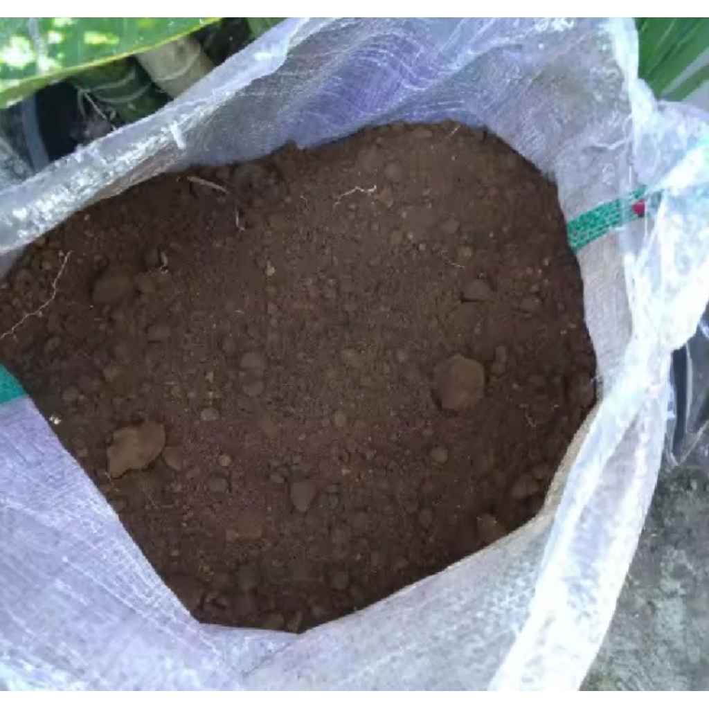 TANAH SUBUR 5KG TANAH HUMUS BAMBU SANGAT COCOK UNTUK SEMUA JENIS TANAMAN