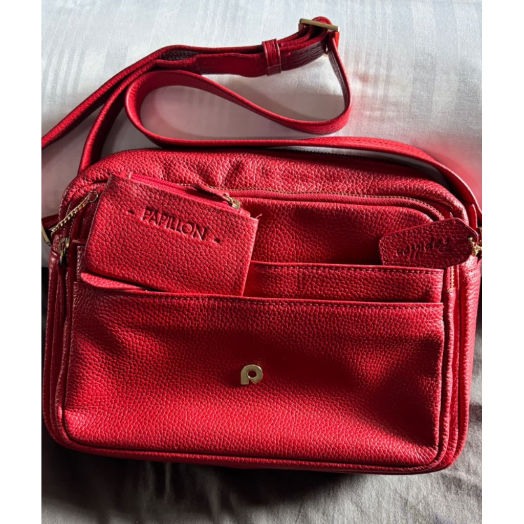preloved papilon